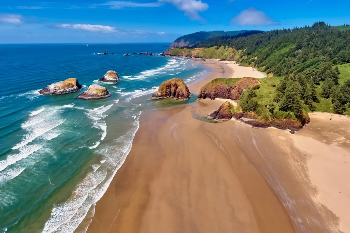A sweeping coastal scene features dramatic rock formations, a wide sandy beach, rolling ocean waves, and lush green hills in the background. The vibrant shoreline invites guests to swim, beachcomb, hike, or simply enjoy the view, perfectly embodying the adventurous and scenic nature of the Oregon Coast.